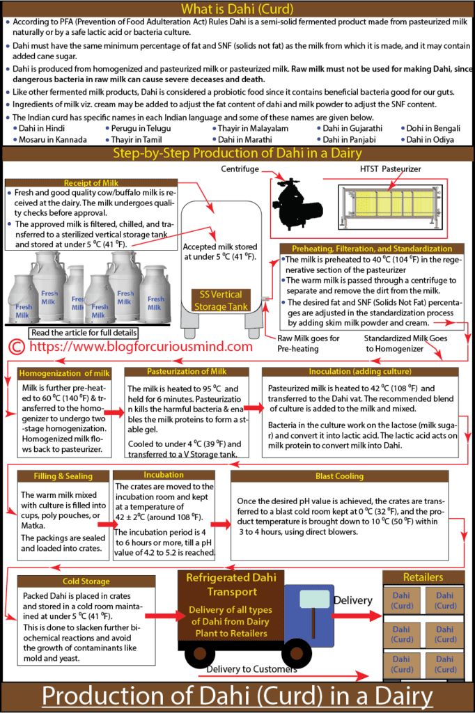 Step-by-step process of making Dahi in a dairy
