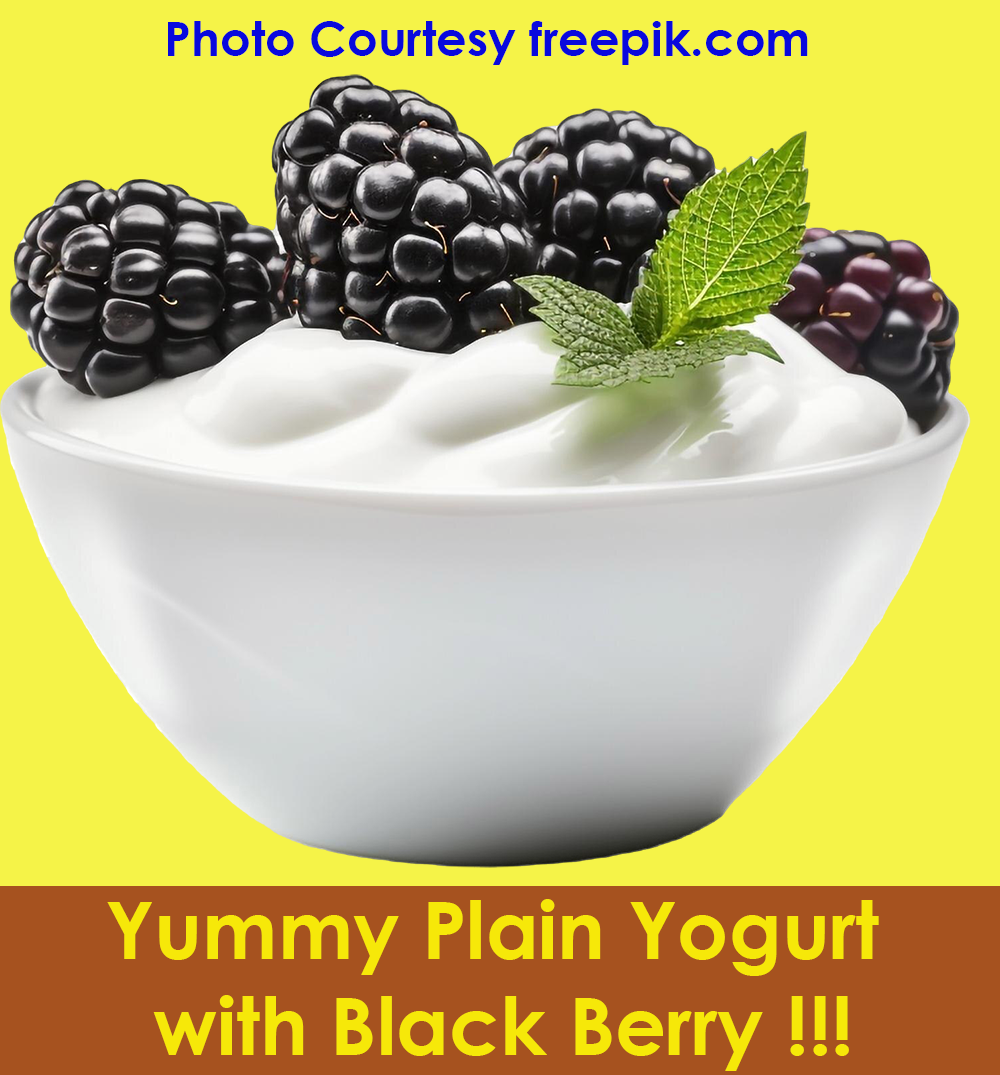 Plain Yogurt with black berry