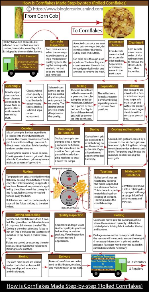 How is cornflakes made step-by-step (Rolled cornflakes)

