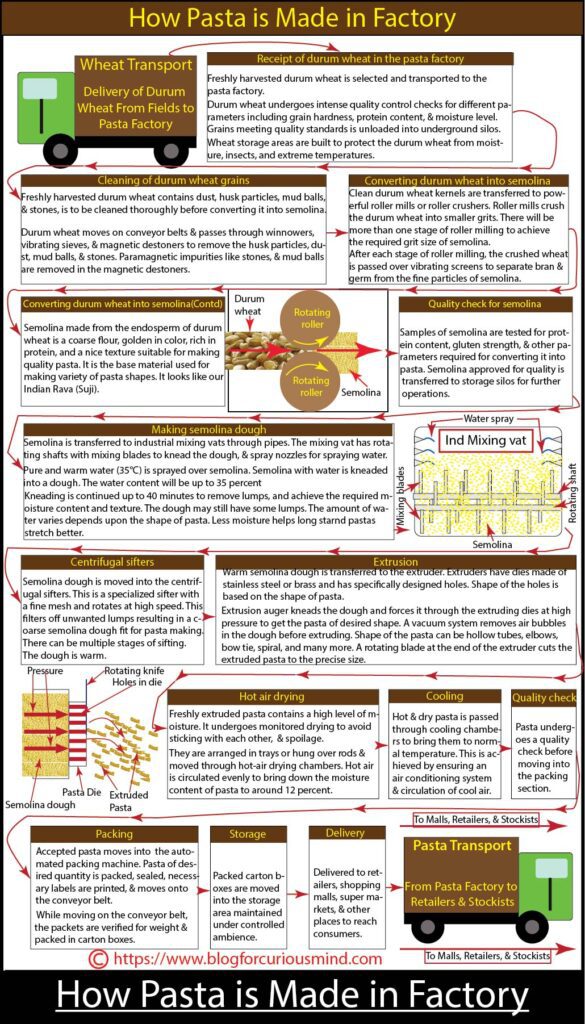 How pasta is made in factory
